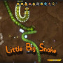 Little Big Snake