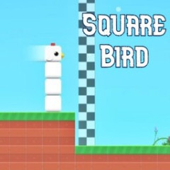 Square Bird