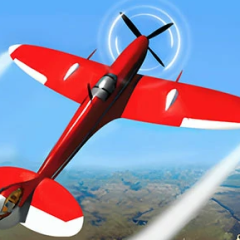 Real Flight Simulator